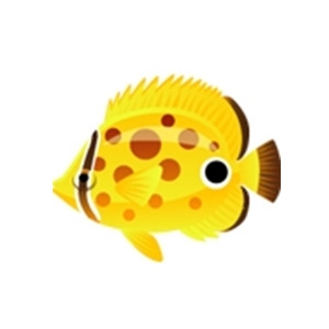 Polka Dot Butterflyfish